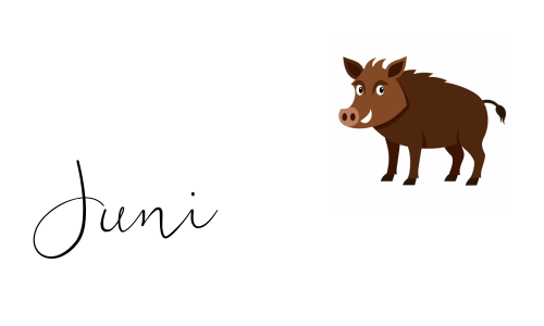 Juni 2026 - Wildschweingrillen